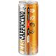 Hochwald Eiscappuccino 250ml